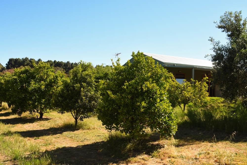 Swan Valley Sisters Henley Brook Exterior foto